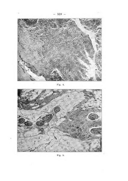 Annali di ostetricia e ginecologia