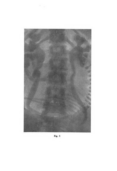 Annali di ostetricia e ginecologia