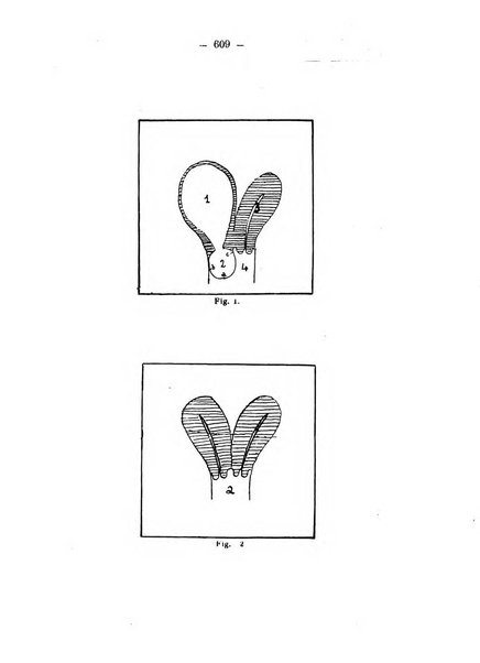 Annali di ostetricia e ginecologia