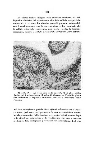 Annali di ostetricia e ginecologia