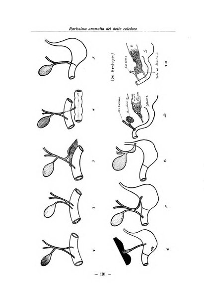 Archivio italiano di anatomia e istologia patologica