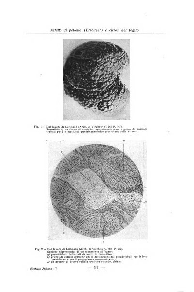 Archivio italiano di anatomia e istologia patologica