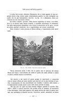 giornale/PUV0110165/1931/unico/00000159