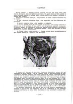 giornale/PUV0110165/1931/unico/00000234