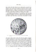 giornale/PUV0110165/1931/unico/00000354