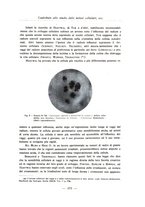 giornale/PUV0110165/1931/unico/00000423