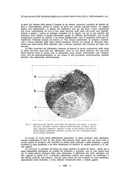 Archivio italiano di anatomia e istologia patologica