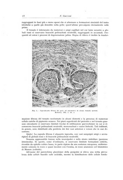 Archivio italiano di anatomia e istologia patologica