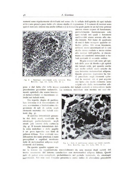 Archivio italiano di anatomia e istologia patologica