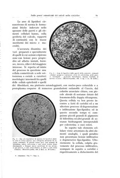 Archivio italiano di anatomia e istologia patologica