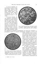 giornale/PUV0110165/1934/unico/00000089