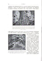 giornale/PUV0110165/1934/unico/00000090