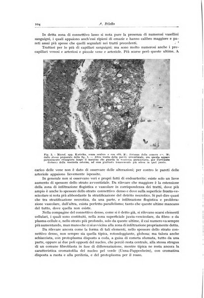 Archivio italiano di anatomia e istologia patologica