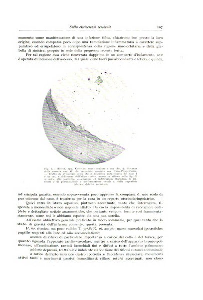 Archivio italiano di anatomia e istologia patologica