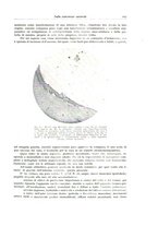 giornale/PUV0110165/1934/unico/00000115