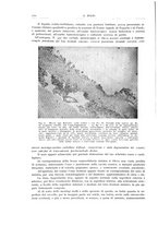 giornale/PUV0110165/1934/unico/00000118