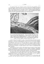 giornale/PUV0110165/1934/unico/00000120