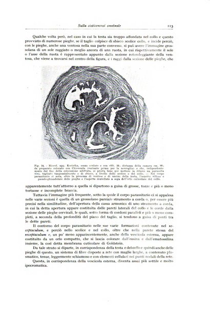 Archivio italiano di anatomia e istologia patologica