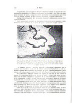 giornale/PUV0110165/1934/unico/00000128