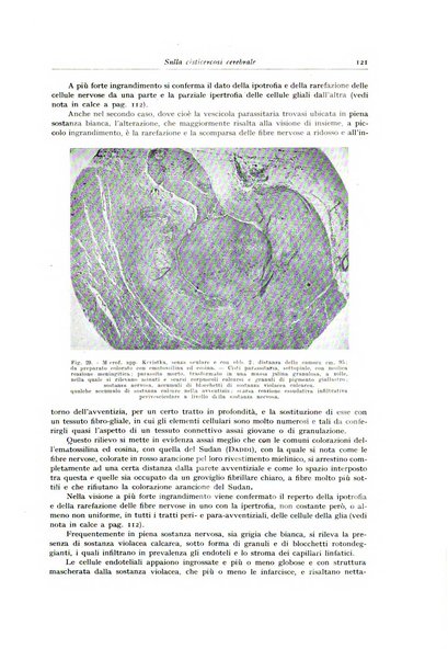 Archivio italiano di anatomia e istologia patologica