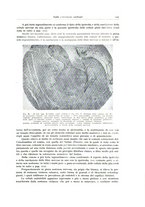 giornale/PUV0110165/1934/unico/00000129