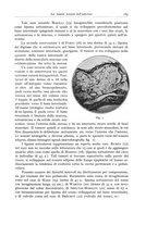 giornale/PUV0110165/1934/unico/00000195