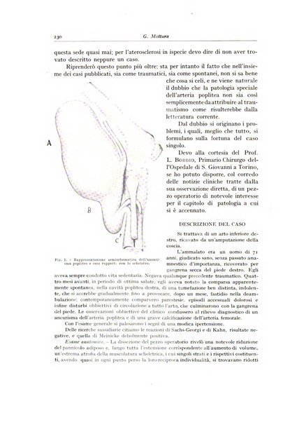 Archivio italiano di anatomia e istologia patologica