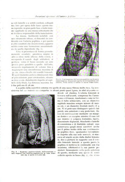 Archivio italiano di anatomia e istologia patologica