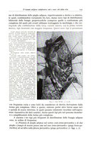 giornale/PUV0110165/1934/unico/00000261