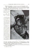giornale/PUV0110165/1934/unico/00000269