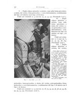 giornale/PUV0110165/1934/unico/00000270