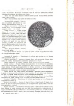 giornale/PUV0110165/1934/unico/00000479