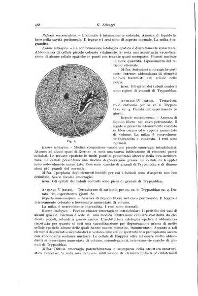 Archivio italiano di anatomia e istologia patologica