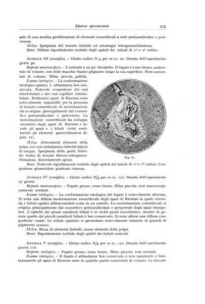 Archivio italiano di anatomia e istologia patologica