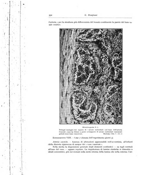 Archivio italiano di anatomia e istologia patologica