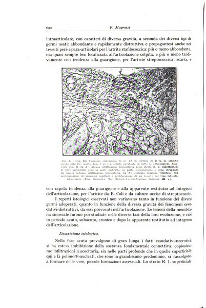 Archivio italiano di anatomia e istologia patologica