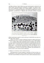 giornale/PUV0110165/1934/unico/00000720