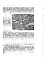 giornale/PUV0110165/1934/unico/00000805