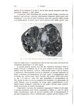 giornale/PUV0110165/1934/unico/00000806
