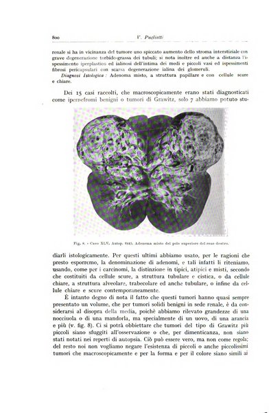 Archivio italiano di anatomia e istologia patologica