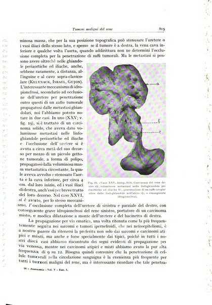 Archivio italiano di anatomia e istologia patologica