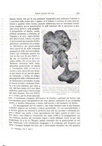 giornale/PUV0110165/1934/unico/00000845