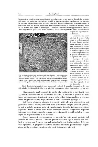 Archivio italiano di anatomia e istologia patologica