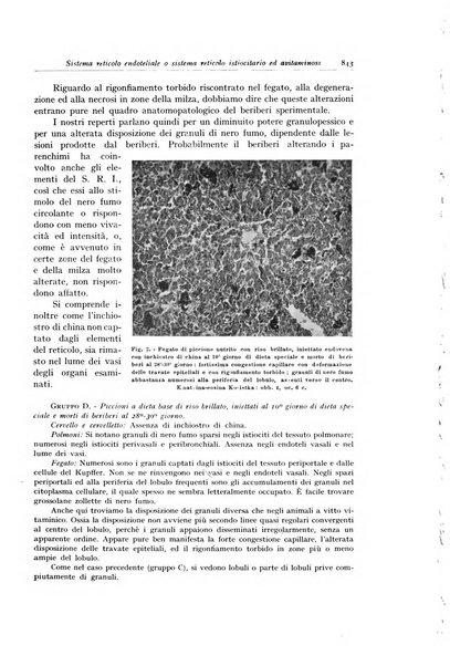 Archivio italiano di anatomia e istologia patologica