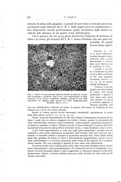 Archivio italiano di anatomia e istologia patologica