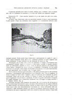 giornale/PUV0110165/1934/unico/00000913