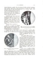 giornale/PUV0110165/1934/unico/00000951