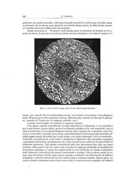 Archivio italiano di anatomia e istologia patologica