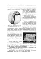 giornale/PUV0110165/1934/unico/00001016