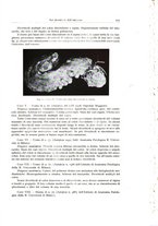 giornale/PUV0110165/1934/unico/00001017